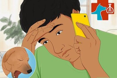 When & How to Safely Induce Vomiting in Dogs: Expert-Backed Tips