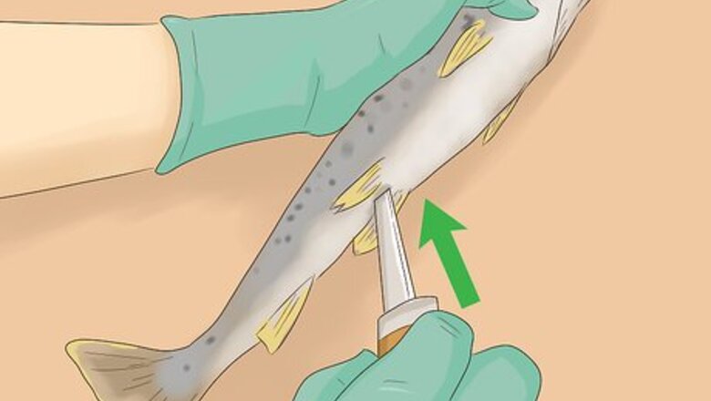 How to Clean Trout for Cooking