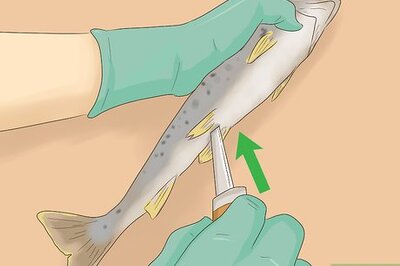 How to Clean Trout for Cooking