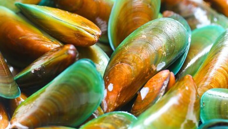 How to Cook Mussels