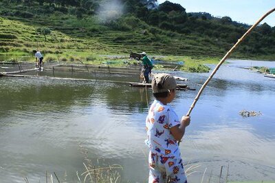 How to Help Children Learn