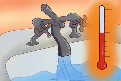 How to Groom a Pet Fox