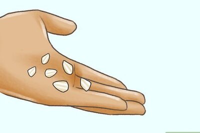 How to Grow Philodendron