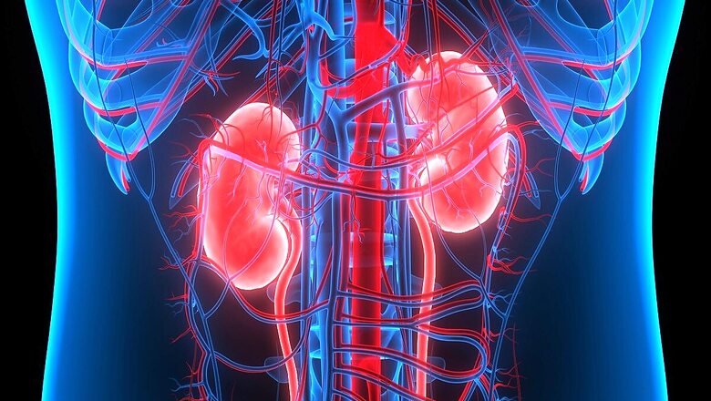 Decoding Long Covid: An Expert Says Kidneys Can Malfunction Post Recovery, Follow-up Checks Must