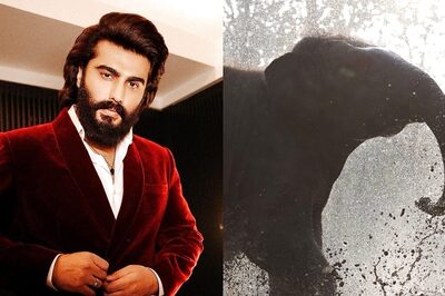 Arjun Kapoor Praises Anant Ambani For Vantara Initiative, Calls It 'A Way For Brighter Future'