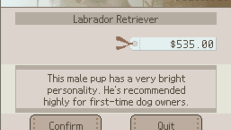 How to Name Your Nintendog