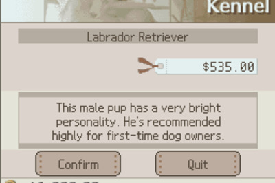 How to Name Your Nintendog