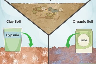 How to Prepare Soil for Roses
