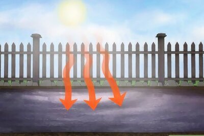 How to Prepare Garden Soil for Tomatoes