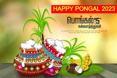 Happy Pongal 2023: Thai Pongal Wishes, Images, Quotes, Messages and WhatsApp Greetings to Share in English and Tamil!
