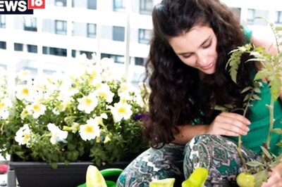 How to Prepare Your Own Kitchen Garden at Home