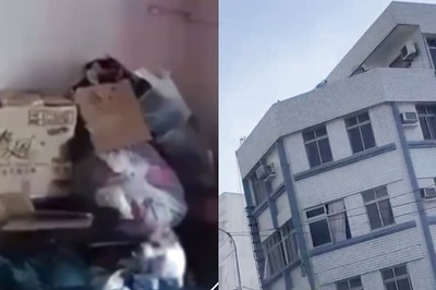 Watch: How A Dog In Taiwan Home Sensed Massive Earthquake Moments Before It Struck
