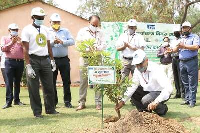 World Environment Day: NHPC Distributes 700 Medicinal Plants to Employees