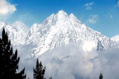 Shimla's Hotel Occupancy Jumps to 90%, Tourists Head for Summer Break