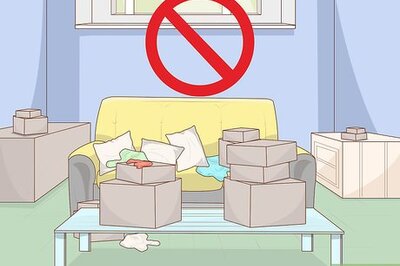 How to Keep Away Lizards