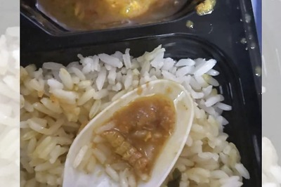 Train Passenger Finds Insect in Food Ordered on Kashi Express, Indian Railways Responds