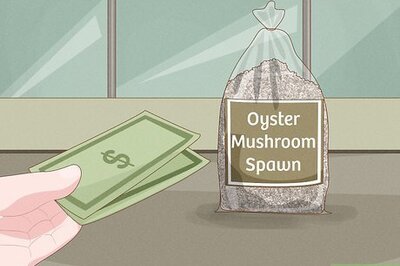 How to Grow Mushrooms