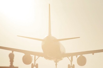 Meet Vesna Vulovic, The Flight Attendant Who Survived 33,000 Feet Fall Without Parachute