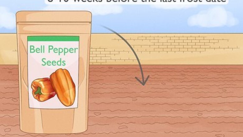 How to Start Pepper Seeds