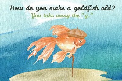 180+ Fish Jokes, Puns & One-Liners for All Ages