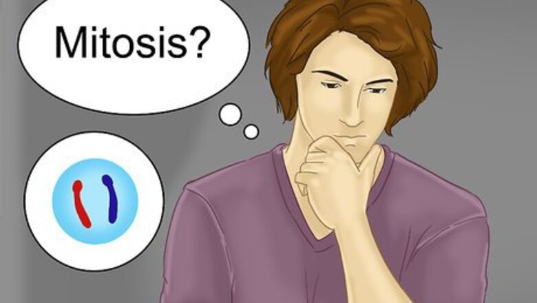 How to Differentiate Between Mitosis and Meiosis