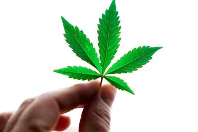 Smartphones May Soon Be Able To Detect Cannabis Intoxication, Study Suggests