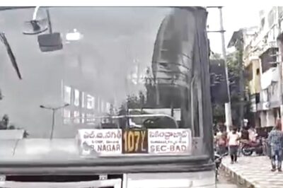 Hyderabad Woman Throws Snake At Bus Driver, Smashes Vehicle's Mirror With Bottle