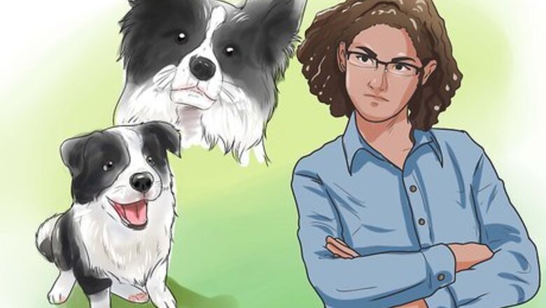 How to Stop Your Dog from Begging