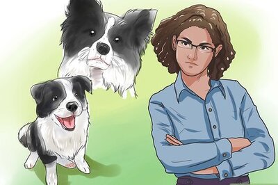 How to Stop Your Dog from Begging
