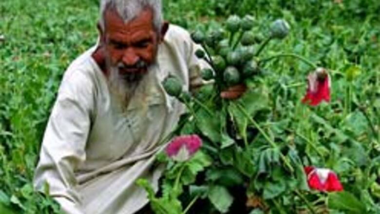 NATO to stem Taliban's drug connection