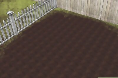 How to Build Raised Vegetable Garden Boxes