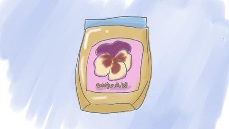 How to Plant Pansies in Containers and Pots