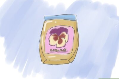 How to Plant Pansies in Containers and Pots