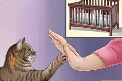 How to Keep a Cat out of a Crib