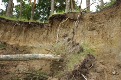 Latest Study Reveals Alarming Rate of Soil Erosion in Western Ghats, Highest Losses in Tamil Nadu