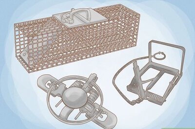 How to Trap a Groundhog