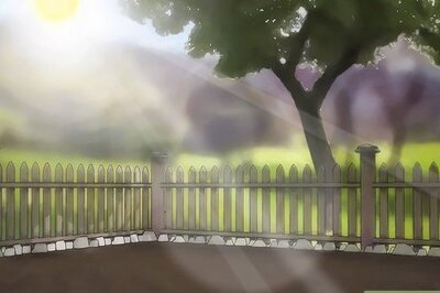 How to Grow Honeysuckle