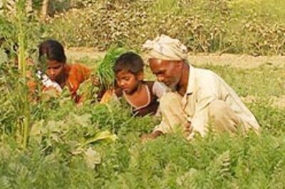 Farm loans waived, but where's the relief?