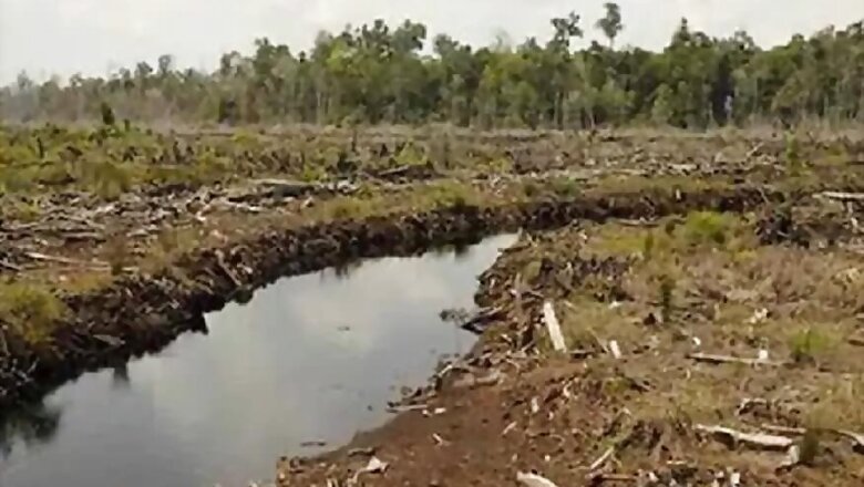 New Report Suggests Deforestation, Wildlife Trade Behind Emergence of Zoonotic Diseases