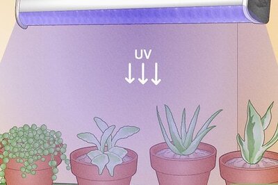 Do LED Grow Lights Emit UV Rays? Learn About LED Grow Light Safety