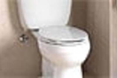 Snake attacks man from toilet bowl