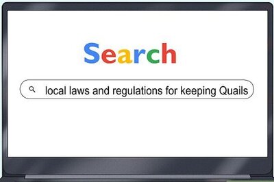 How to Choose a Quail