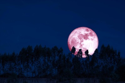 From Vat Purnima to Strawberry Moon: Here’s What the June Full Moon is called Across the World