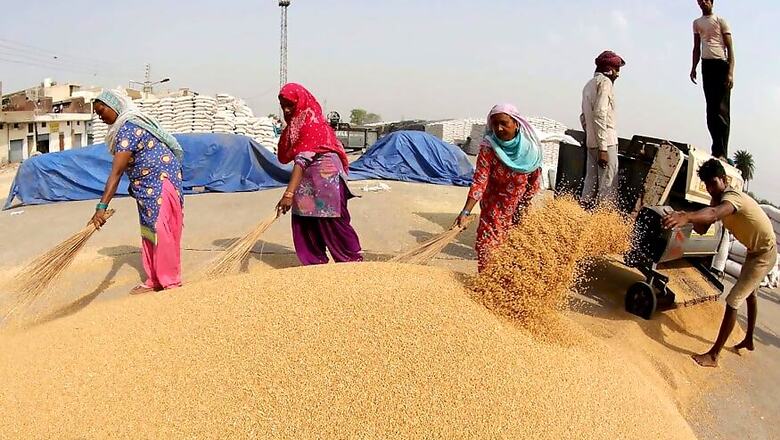 India Raises Wheat Buying Price by 4.6% to Rs 1,965 for 2020, Says Prakash Javadekar
