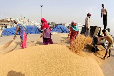India Raises Wheat Buying Price by 4.6% to Rs 1,965 for 2020, Says Prakash Javadekar