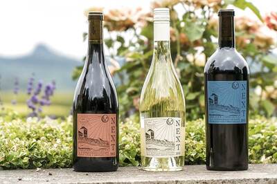 The Tippling Point | The Great Vine Blight: How Taking American Vines to Europe Decimated French Vineyards