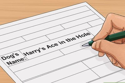 How to Change an AKC Dog's Name