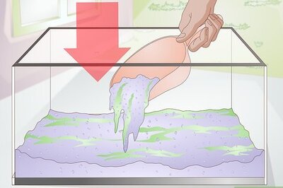 How to Decorate a Fish Tank