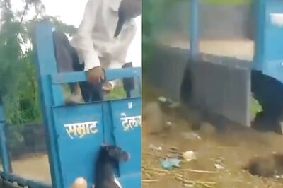 Maharashtra Man Hangs Stray Dog to Death After it Tears His Tractor's Seat, Video Sparks Outrage