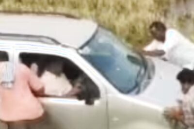 Driver's Close Encounter With Snake Leads To Car Accident In Konaseema